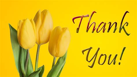 Thank You Images & HD Pictures | Thank u Images Free Download