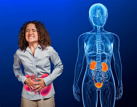 Infecção Urinaria Onde Doi