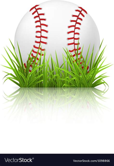 Baseball On Grass Royalty Free Vector Image VectorStock AD