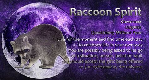 Raccoon spirit | Spirit animal, Animal spirit guide, Moon spirit
