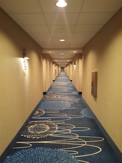 Hotel hallways are always trippy | Hotel hallway, Trippy, Optical illusions
