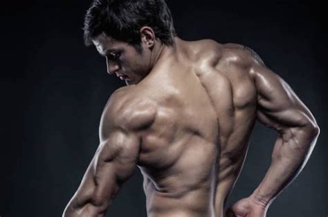 Muscles of the torso : Lean Gains Diet, Workout Mantra For Fat Loss - Healthy Celeb