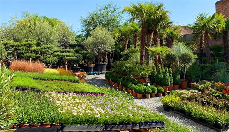 Facebook gives people the power to share and makes the. Plantenspecialist Ninove | Oasis Garden by Suenaert