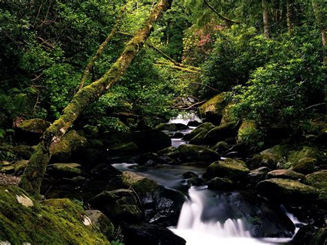 Imagem Para Fundo De Tela Natureza Stream Montanhas Rochosas 🔥 Baixar