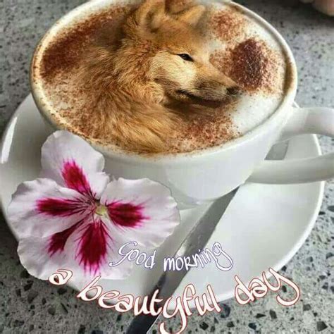 Sie lesen mehrere texte und lösen aufgaben dazu. Good morning..have a great day!
