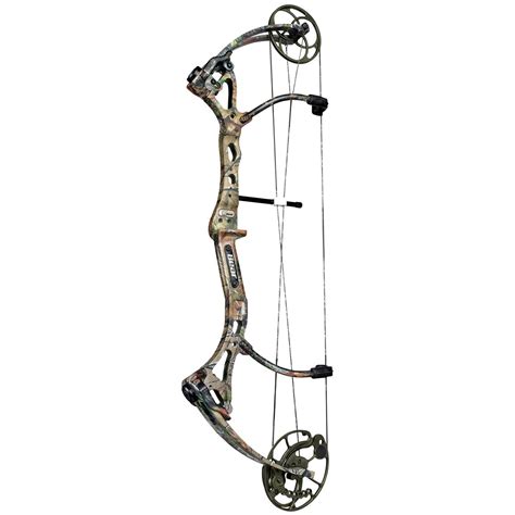 Bear Archery Assault Ready To Hunt Compound Bow Package Left 183852 Bows At Sportsmans Guide