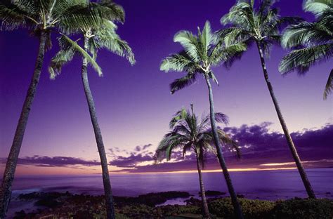 Sunset Poipu Beach Kauai Hi By Elfi Kluck