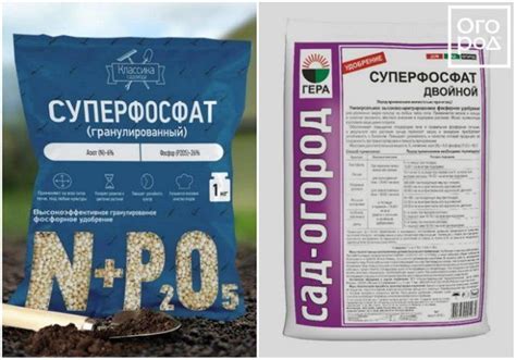 Фосфорные удобрения: виды, значение, особенности применения