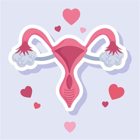 Female Human Reproductive System Women Organ Heart Cartoon Card