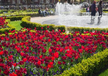 Про це розповімо далі в статті. Rijksmuseum Garden | Нідерланди