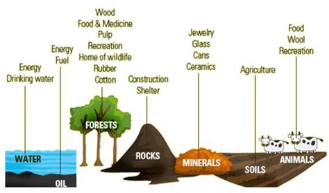 Natural Resourcestypes Of Natural Resourcesrenewable And Non Renewable