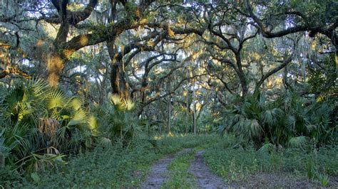 Natural Florida Scenery Photograph By Brian Kamprath Pixels