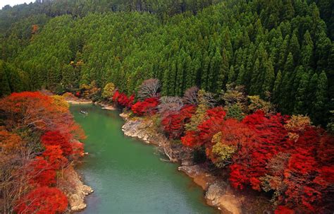 Autumn Trees In Kyoto Japan