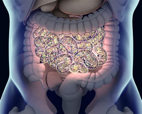 Colorectal Cancer And The Gut Microbiome What Are The Connections