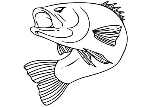 Bass Coloring Page at GetDrawings | Free download