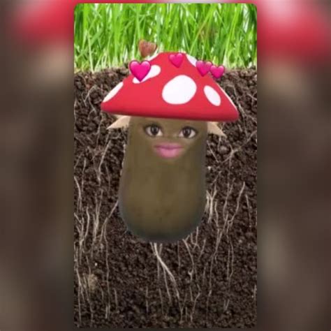 Potato Mushroomelf Lens By Maxim Snapchat Lenses And Filters