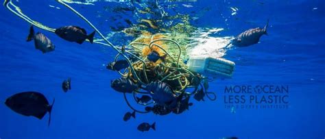 5 Gyres Helping Oceans Go Plastic Free Natracare