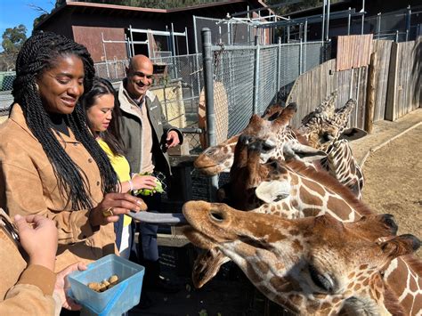 Oakland Zoo Announces 25 Discount For Residents