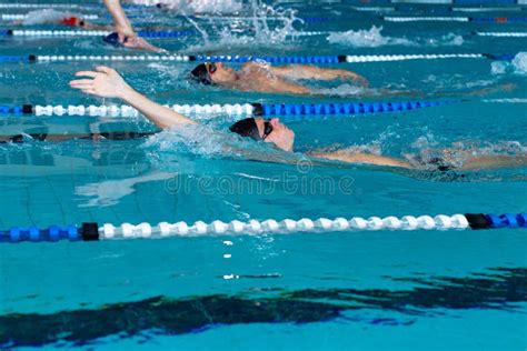 Swimmers Swimming In The Pool Stock Photo Image Of Exercise Athlete