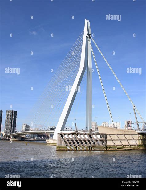 Iconic Erasmus Bridge Erasmusbrug Rotterdam Netherlands Designed