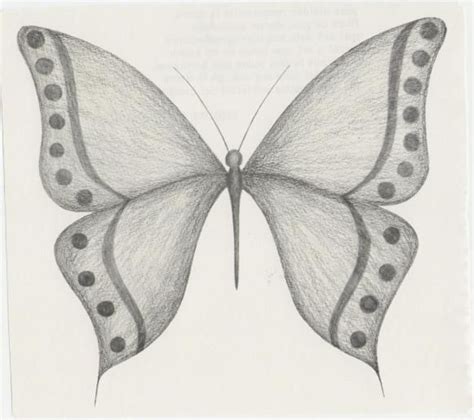 Butterfly Art Drawings Sketches Simple Pencil Art Drawings Art Drawings