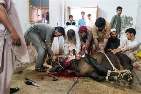 Get reliable source of lahore athan (azan) and namaz times with weekly salat timings and monthly salah timetable of lahore. Celebrating Eid al-Adha in Lahore, Pakistan - Lost With ...