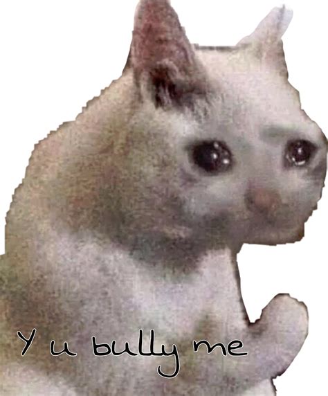 Search more hd transparent cat meme image on kindpng. Y u bully me cat sad cat meme freetoedit...