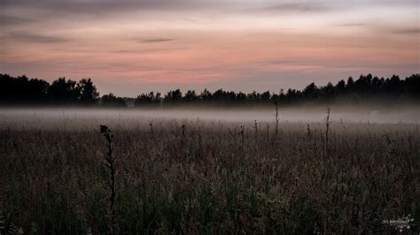 Foggy Field Dirk Kirchner Flickr
