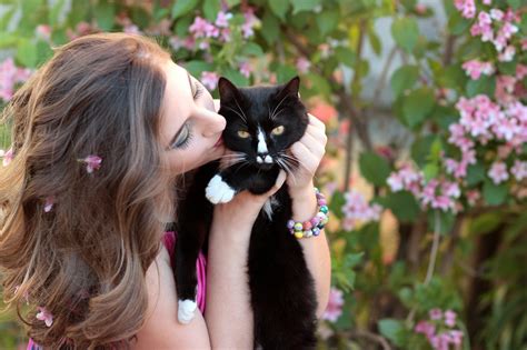 Check spelling or type a new query. Free Images : girl, flower, love, portrait, kitten, black ...