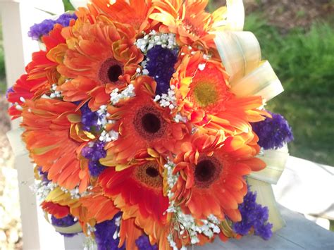 Three red gerber flowers, gerbera daisies on white. Orange Gerber Daisy and purple Status ...