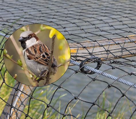 Des solutions d'éclairage de jardin pour animer tous vos. Protection Cache Moineau - Peigne Pare Moineau 80 Mm Rouge ...
