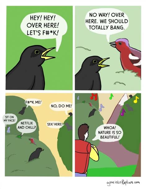 So Thats What Birds Really Talk About Reddit Funny Comic