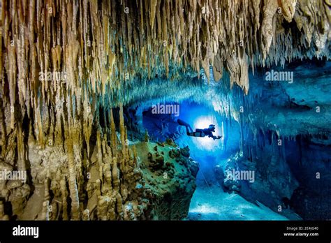 Man Scuba Diving In Sea Cenote Uku Cusam Quintana Roo Mexico Stock