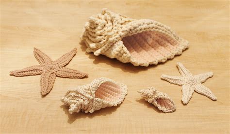 Crochet Conch Shell And Starfish Sea Shell Pattern Instant
