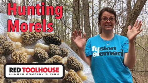 Hunting Morels And A Tour Of Our 100 Acres Youtube