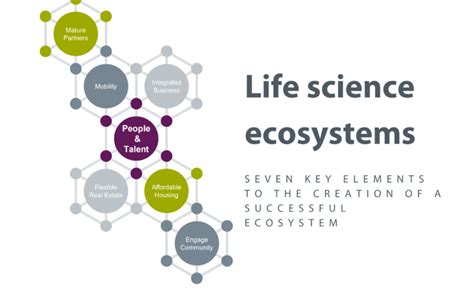 Seven Key Elements To The Creation Of A Successful Life Science