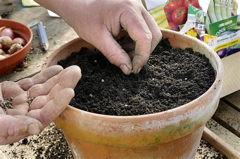 But there area a number of benefits to using a special soil mix when starting your seeds and seedlings! Soil-Less Mix Recipe for Seed Starting