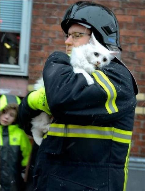 25 Touching Photos Of People Saving Animals Faith In Humanity