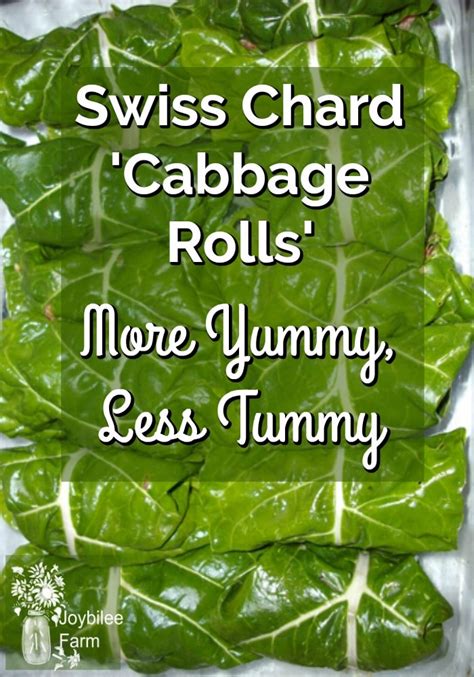 Browse all swiss chard recipes. Swiss Chard 'Cabbage Rolls' | Joybilee® Farm | DIY | Herbs ...