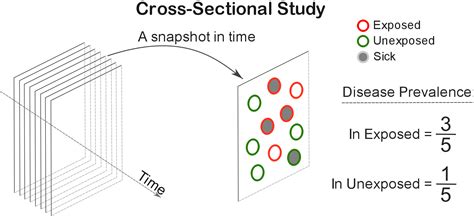 Learn about cross sectional design with free interactive flashcards. Cohort vs Cross-Sectional Study: Similarities and ...