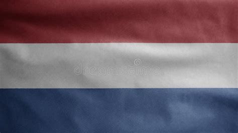 dutch flag waving in the wind close up of netherlands banner blowing soft silk stock