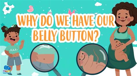 Why Do We Have Our Belly Button Happy Learning