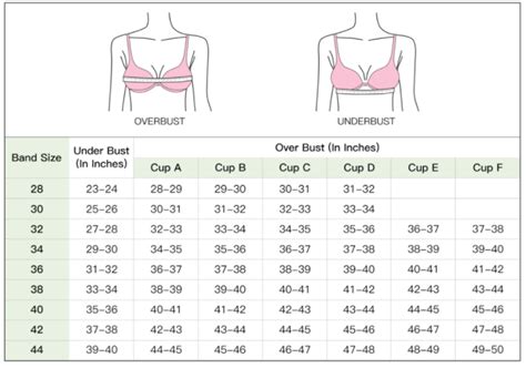 Real Silk Life How To Measure Bra Size