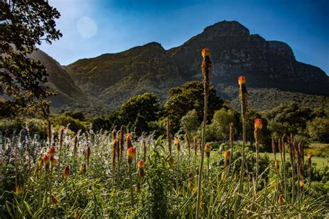25 Adventurous Things To Do In Cape Town