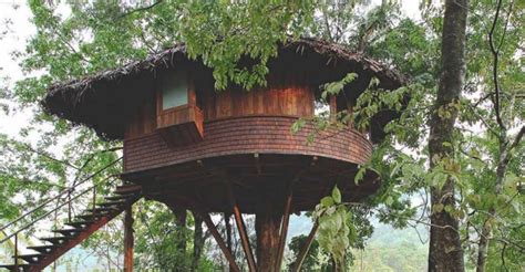 Tree Houses That Offer A Real Feel Of The Forest Travel Hourglass