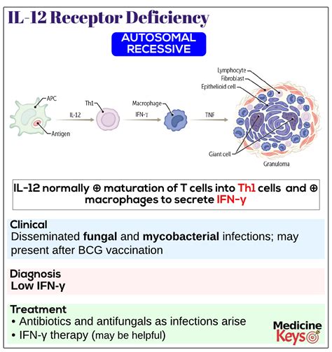 Il 12 Receptor Deficiency Medicine Keys For Mrcps