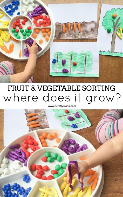 Nutritional Fun Learning Where Food Grows With Fruit And Vegetable