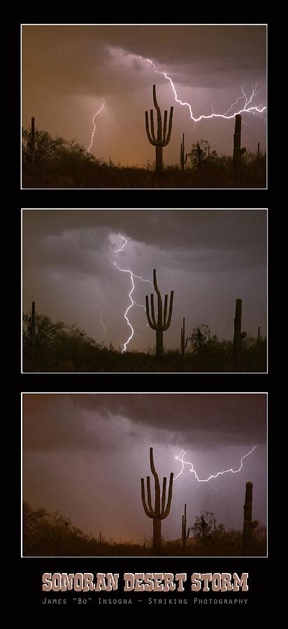 Southwest Desert Thunderstorm Progression Photograph By James Bo