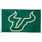 Pictures of University Of South Florida Flag