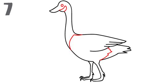 How To Draw A Goose How To Draw Animals